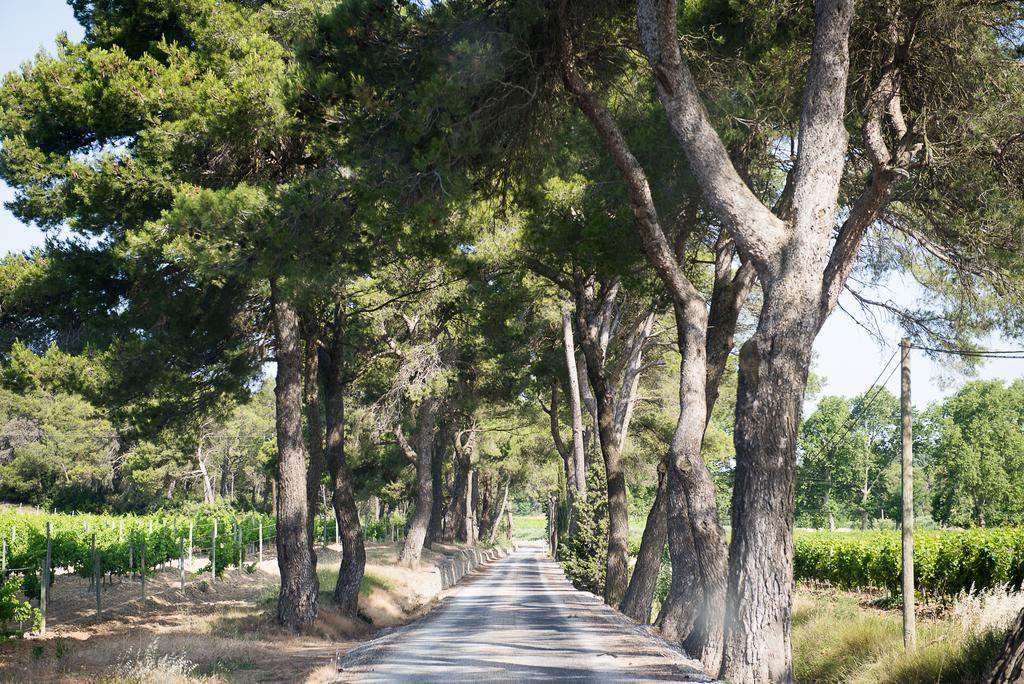 Chateau Canet Villa Rustiques Luaran gambar