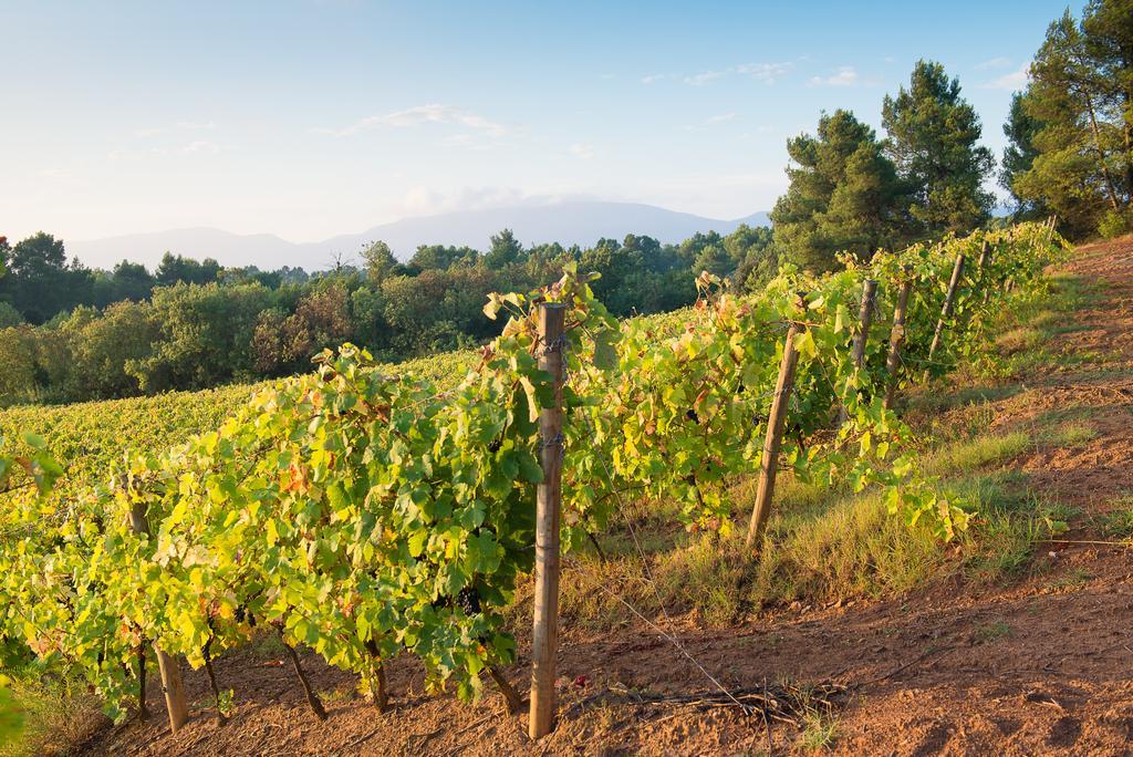 Chateau Canet Villa Rustiques Luaran gambar