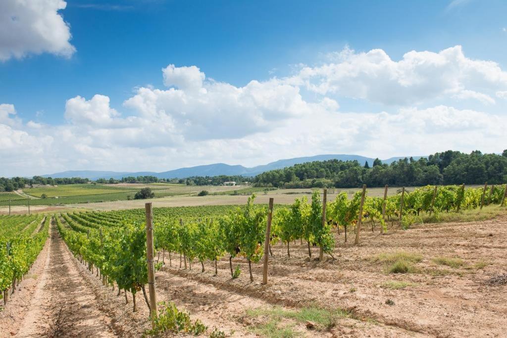 Chateau Canet Villa Rustiques Luaran gambar